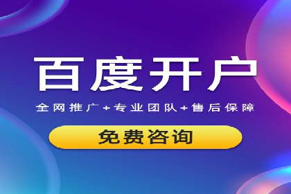 竞价推广实战：案例分析行业领军企业的成功之道